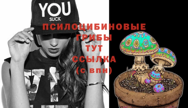 а пвп мука Ладушкин