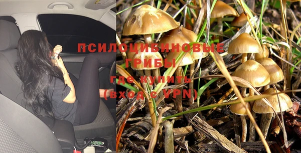 марки lsd Лагань