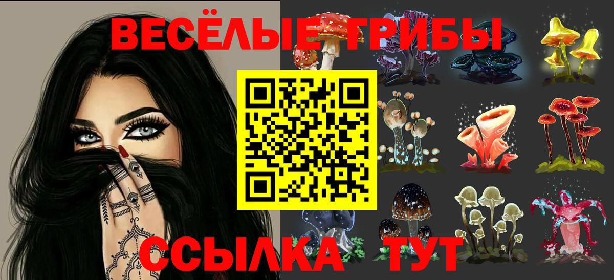 Нефтекамск  Псилоцибиновые грибы мицелий  Вход с VPN 