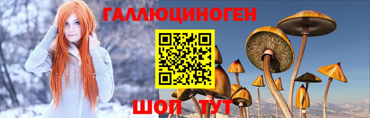 Псилоцибиновые грибы Magic Shrooms Нефтекамск